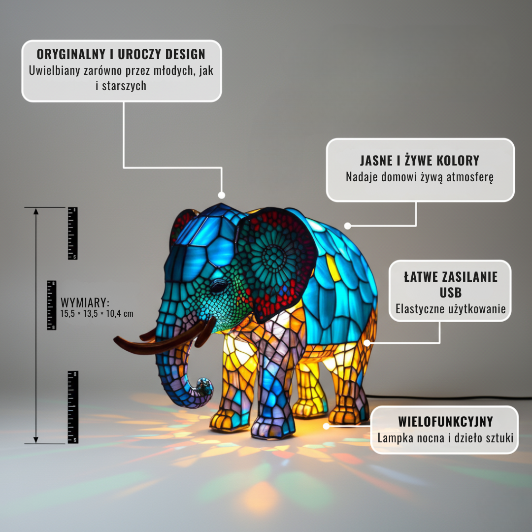 Czarujący słoń Noa