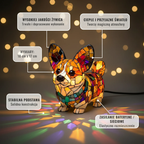 Olśniewający Corgi